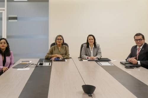 El voto fortalece la transición pacífica de poderes: Amalia Pulido